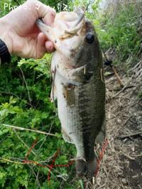 ¥Ö¥é¥Ã¥¯¥Ð¥¹