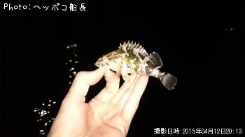 ¥¿¥±¥Î¥³¥á¥Ð¥ë