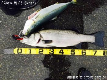 �ҥ饹����