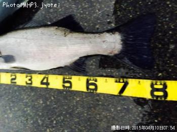 �ҥ饹����