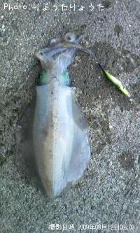 �����ꥤ��