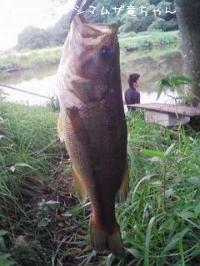 ¥Ö¥é¥Ã¥¯¥Ð¥¹