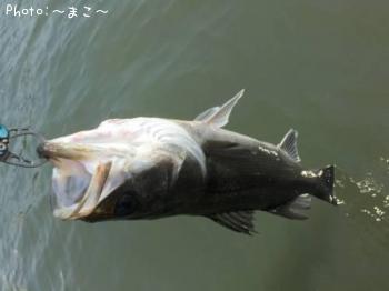 �����Х�