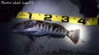 �����ʥ�