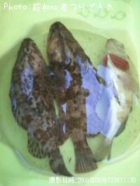 �٥å�������