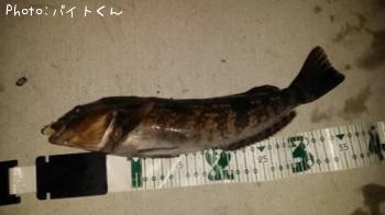 �����ʥ�