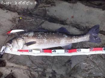 �����Х�