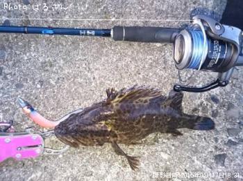 �٥å�������