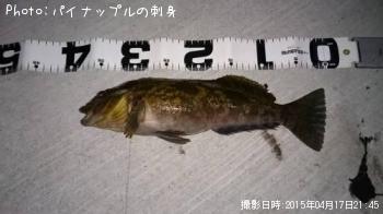 �����ʥ�