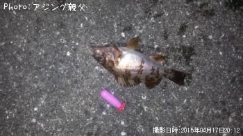 ¥¢¥¸¡¢¥á¥Ð¥ë