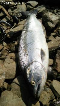 ������ޥ�