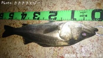 �����Х�����Х�