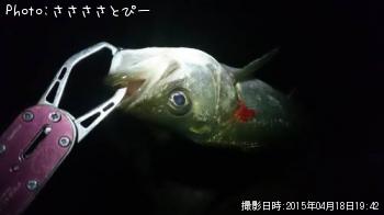 �����Х�����Х�