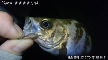 �����Х�����Х�