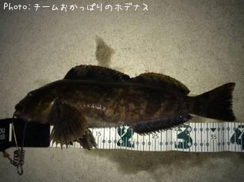 �����ʥ�