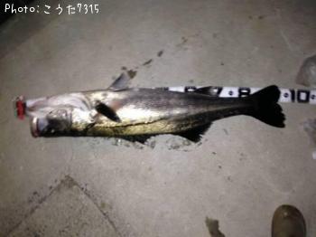 �����Х�