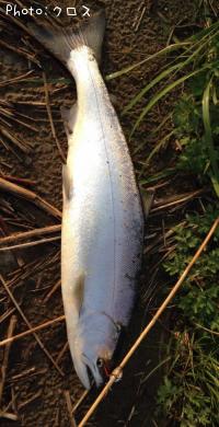 ������ޥ�