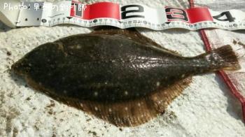 �������쥤