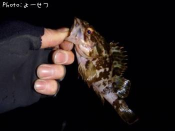 ¥¿¥±¥Î¥³¥á¥Ð¥ë