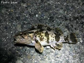 �����Υ���Х�