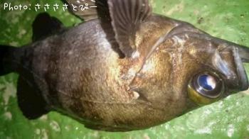 �����Х�����Х�