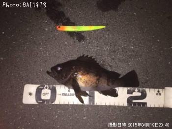 ¥á¥Ð¥ë