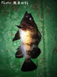 ��Х�������Х���