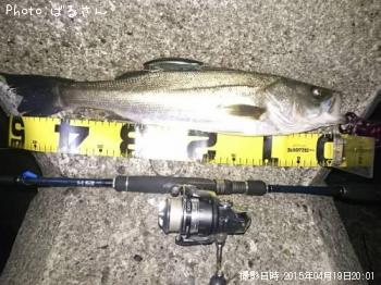 �����Х�