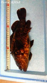 ¥¿¥±¥Î¥³¥á¥Ð¥ë