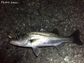 �����Х�