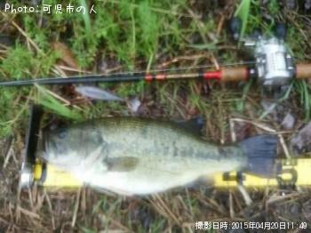 �֥�å��Х�