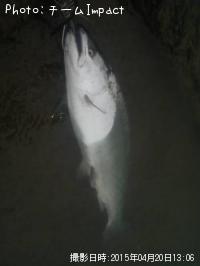 ������ޥ�