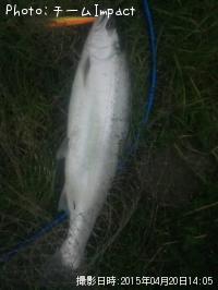 ������ޥ�