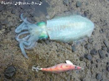 �屨±
