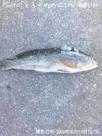 �����ʥ�