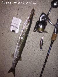 ¥ª¥ª¥á¥«¥Þ¥¹