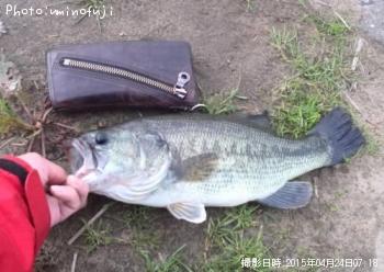 ¥Ö¥é¥Ã¥¯¥Ð¥¹