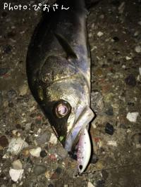 �����Х�