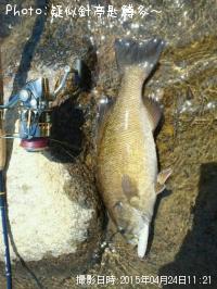 ���⡼��ޥ���