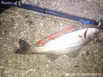 �����Х�