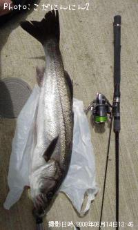 �����Х�