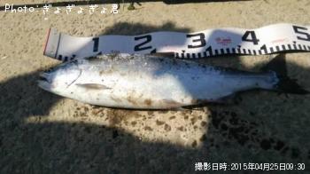 ������ޥ�