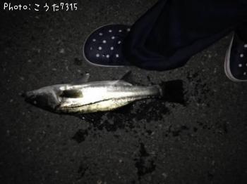 �����Х�