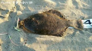 �ޥ����쥤