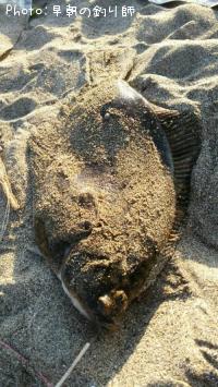 �ޥ����쥤