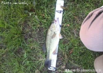 �֥�å��Х�