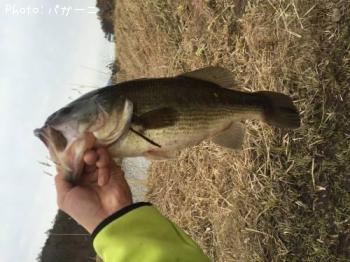 ¥Ö¥é¥Ã¥¯¥Ð¥¹