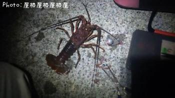 ���ꥬ�ˡʾС�