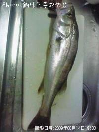 �����Х�