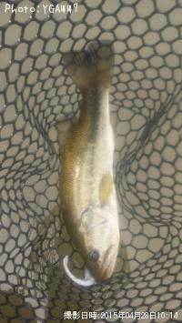 �֥�å��Х�